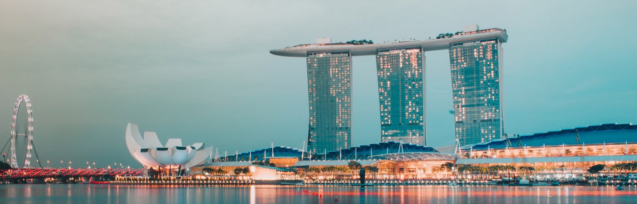 singapore photo victor